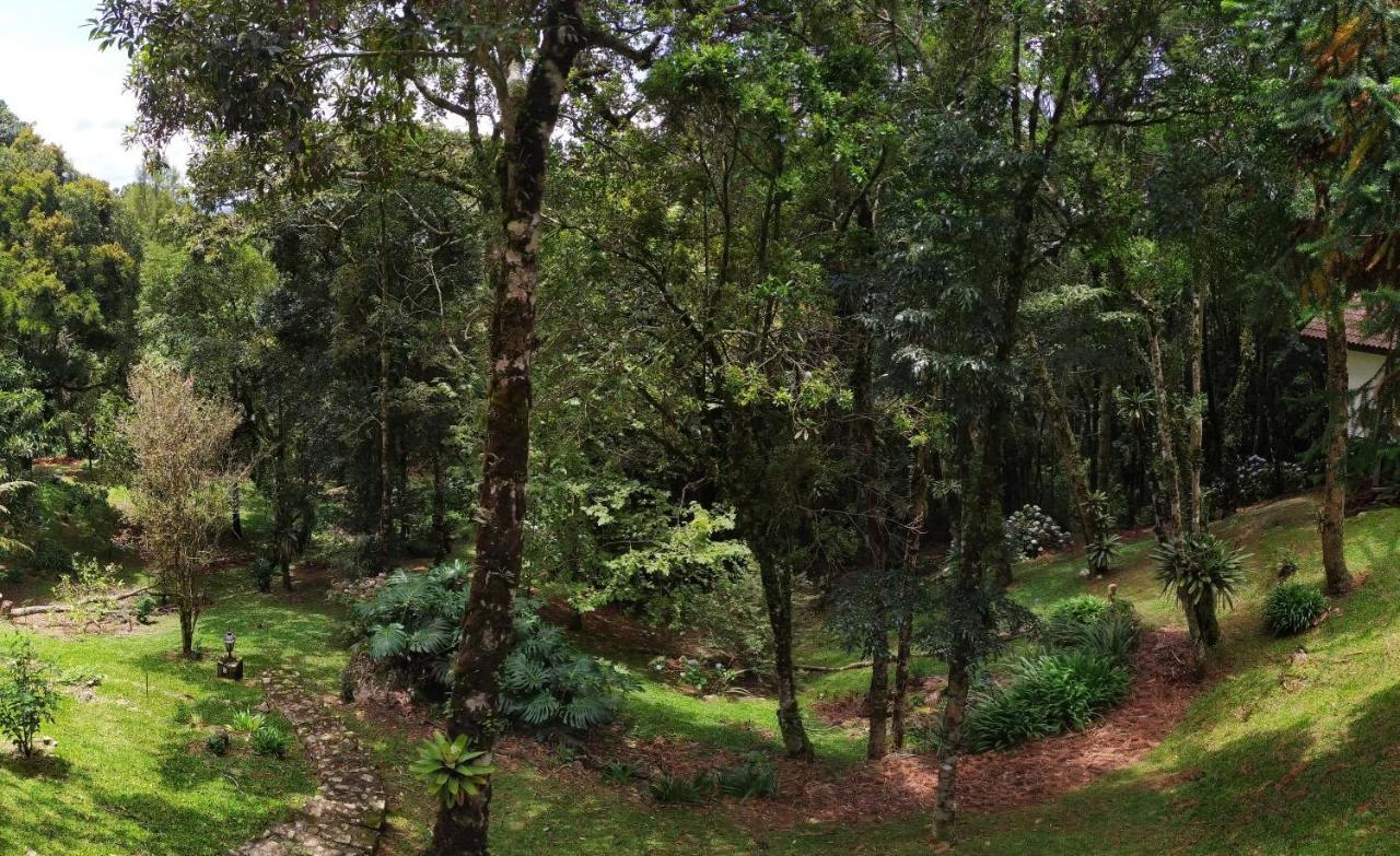 Hotel Refugio Do Selado Monte Verde  Zewnętrze zdjęcie
