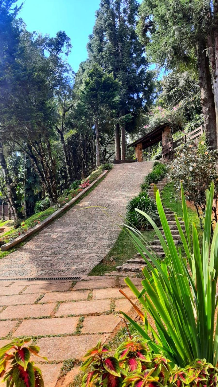 Hotel Refugio Do Selado Monte Verde  Zewnętrze zdjęcie