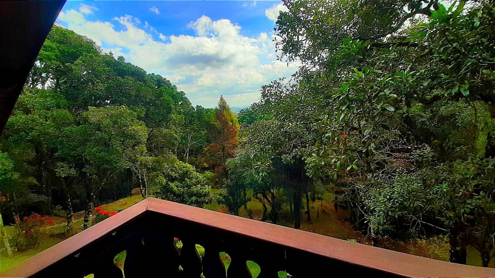 Hotel Refugio Do Selado Monte Verde  Pokój zdjęcie
