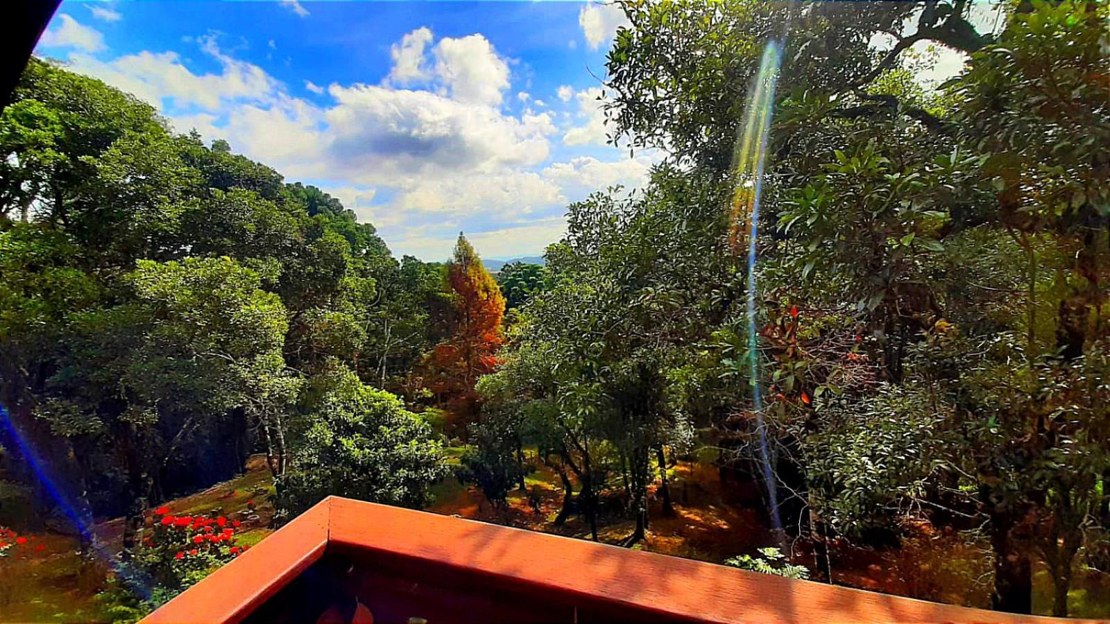 Hotel Refugio Do Selado Monte Verde  Pokój zdjęcie